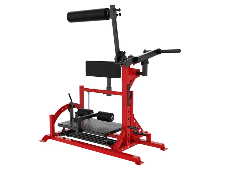 ARSENAL RELOADED POSTERIOR CHAIN DEVELOPER - Image 3